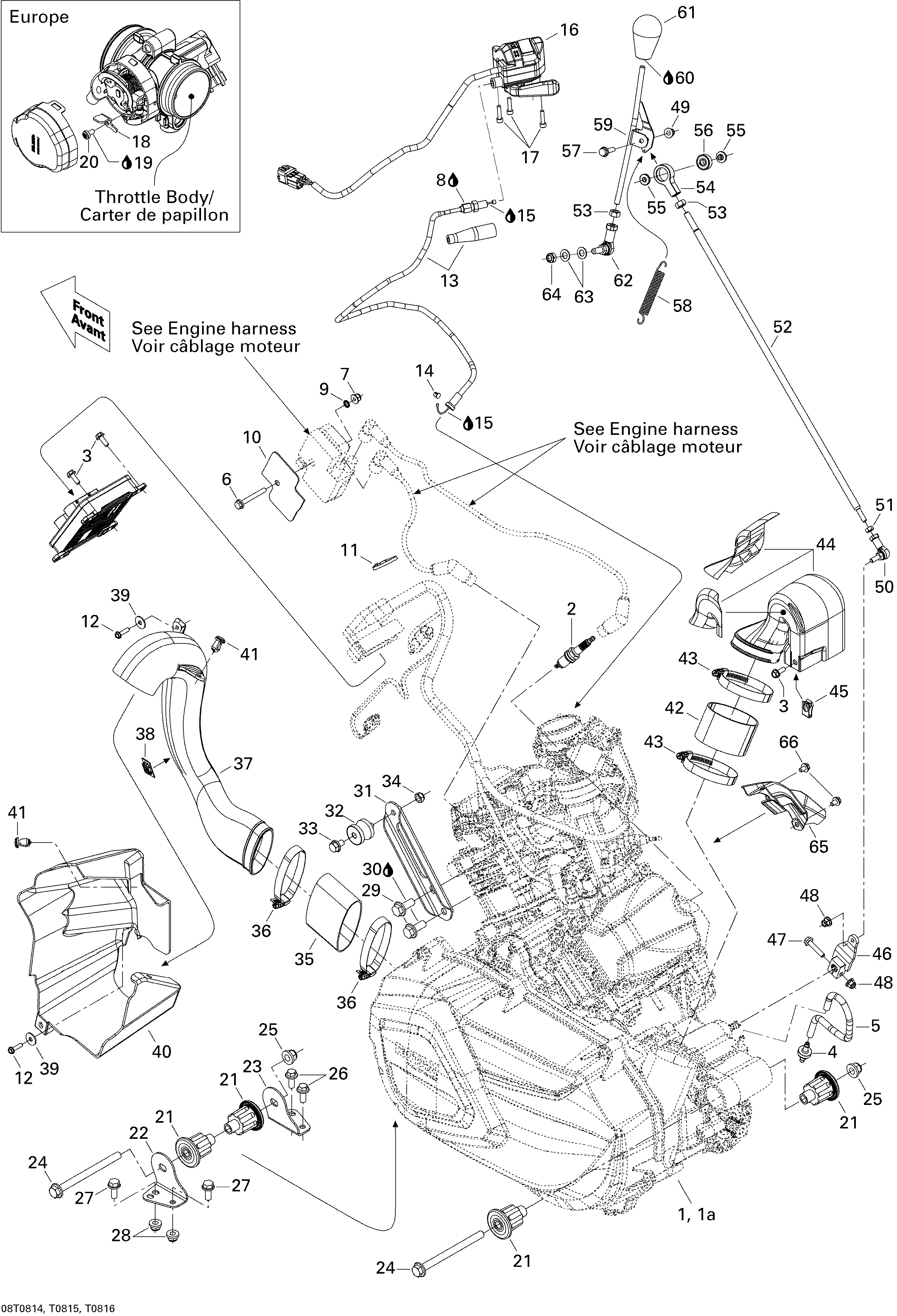 01  MOTEUR ET SUPPORT MOTEUR POUR RENEGADE STD 500 EFI JAUNE 2008