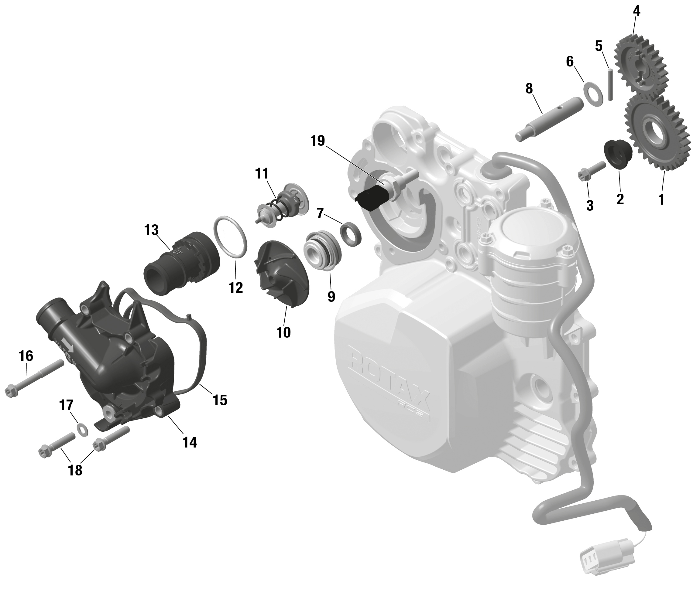 01  ROTAX REFROIDISSEMENT MOTEUR POUR RYKER 600 ACE CVT BLACK 2023